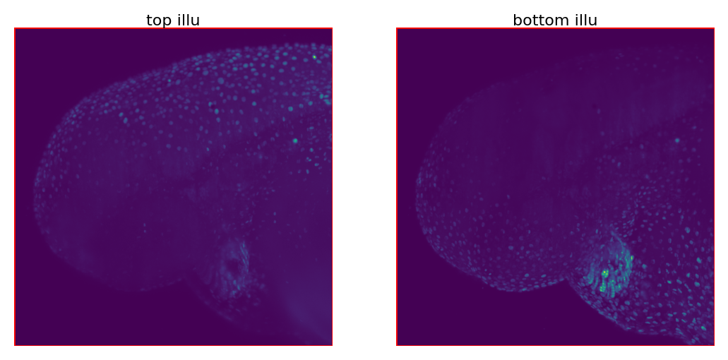 ../../_images/tutorials_notebook_Leonardo_Fuse_(along_detection)_13_10.png