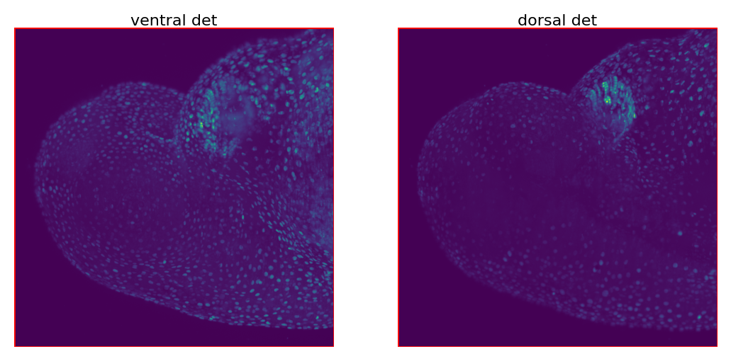 ../../_images/tutorials_notebook_Leonardo_Fuse_(along_detection)_13_19.png