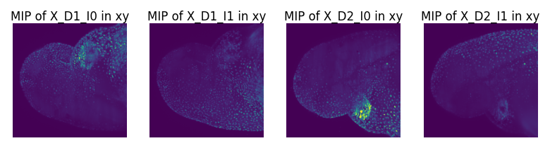 ../../_images/tutorials_notebook_Leonardo_Fuse_(along_detection)_9_0.png