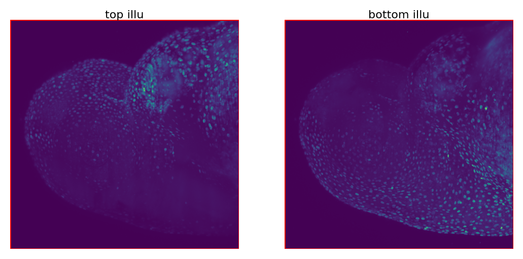 ../../_images/tutorials_notebook_Leonardo_Fuse_(along_detection)_13_1.png